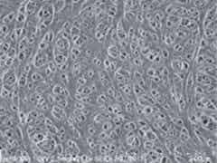 捷力新能源 锂离子电池隔膜