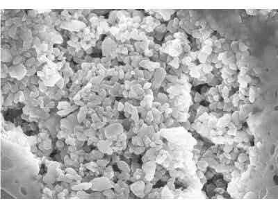 无机涂覆纳米陶瓷涂层隔膜