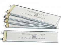 中山天贸软包装锂离子电芯