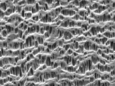 义腾新能源 高倍率微孔单层隔膜