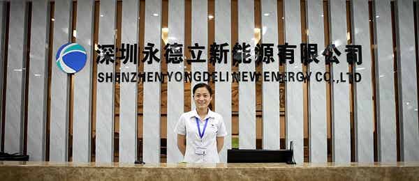 深圳永德立新能源有限公司