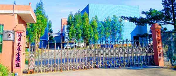 广东玖翼化工有限公司