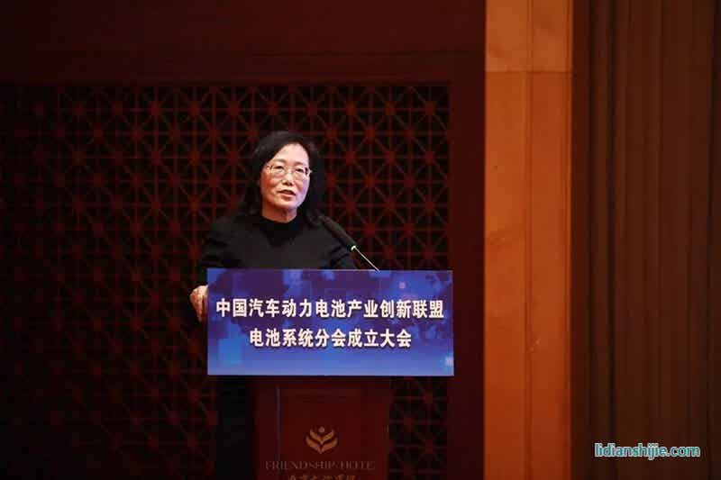 中国汽车工业协会副秘书长、创新联盟秘书长许艳华女士发表致