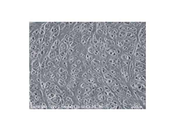 捷力新能源 消费电子用锂离子电池隔膜 J-GP-CU20/16/12M