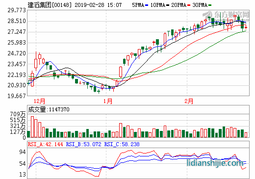建滔集团附属建滔铜箔全年赚2561万升77%