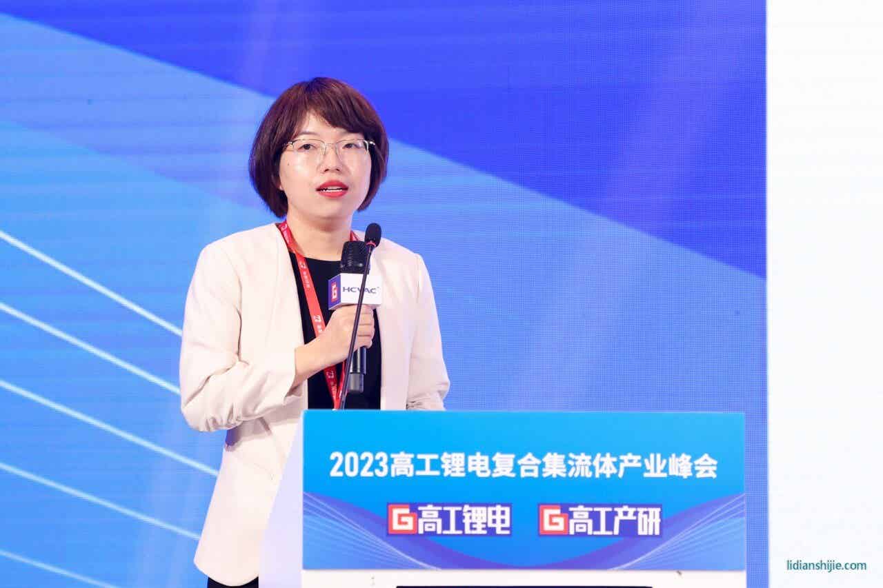 力神电池甄会娟博士 大.jpeg