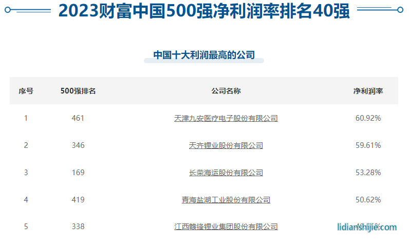 中国十大利润最高的公司