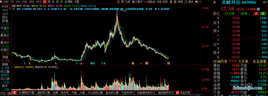 对龙蟠科技（603906.SH）