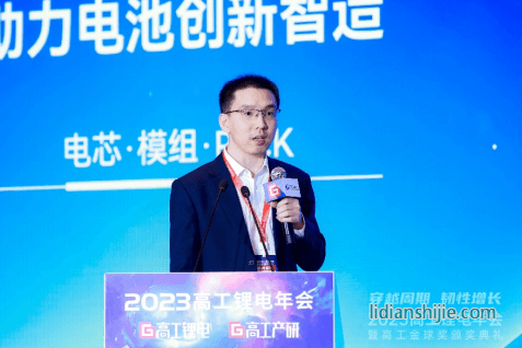 比克电池许严博士