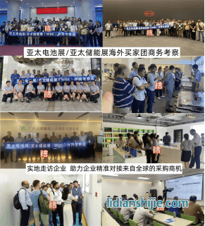 亚太储能技术及应用展