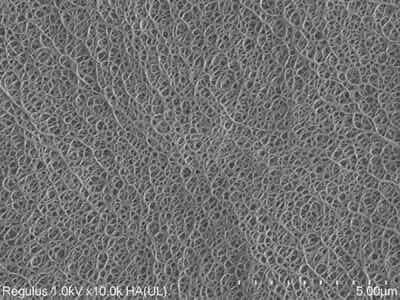 厚生新能源锂电池涂覆基膜