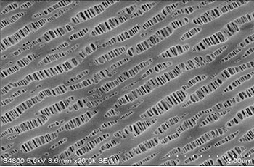 PP单层复合隔膜