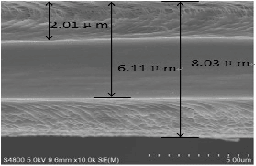 PP/PP/PP三层共挤隔膜