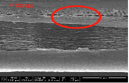 PP/PP/PP三层共挤隔膜