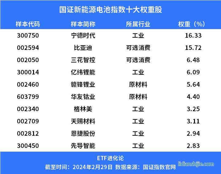 国证新能源电池十大权证股