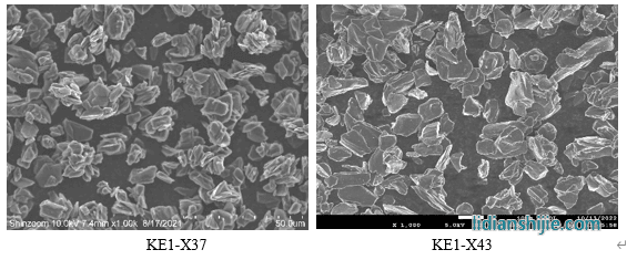 中科星城消费类石墨负极材料KE系列SEM