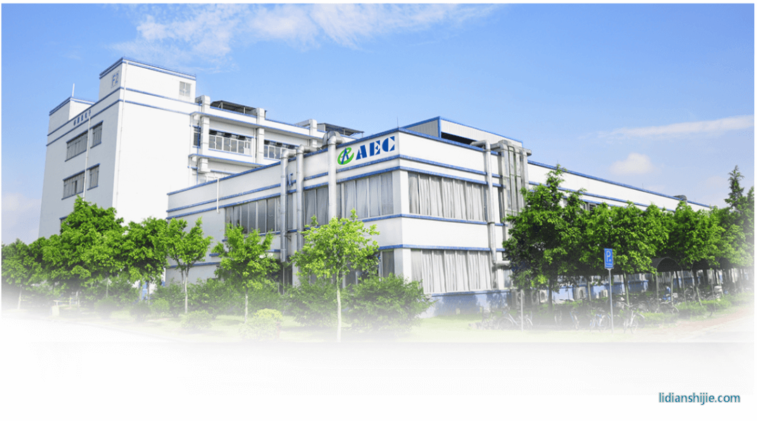 广东国光电子有限公司