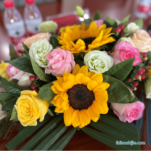 四川省南充市领导莅临和润达视察指导工作